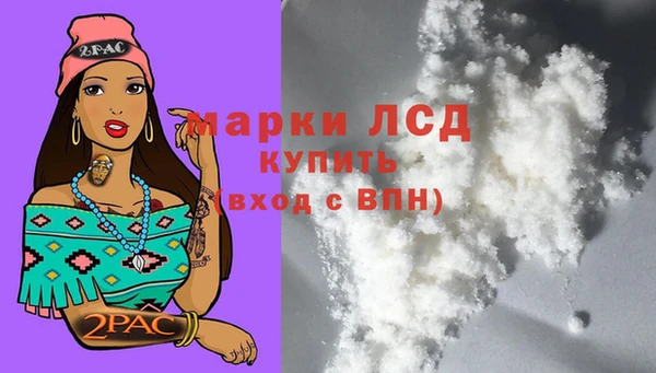 PSILOCYBIN Гусиноозёрск